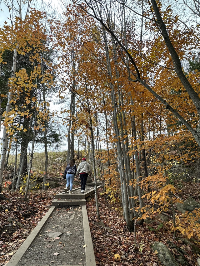 🇨🇦モントランブラン（Mont-Tremblant）の紅葉ハイキング 🍁