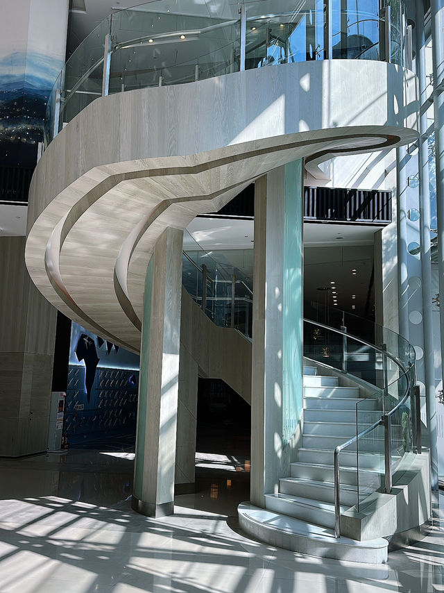 ✨【桃園機場 Hyatt Regency 開箱｜飛行迷的天堂】✨珍妮游