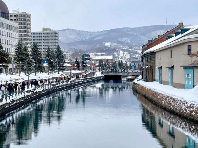 Snow, Soup, and Solo Adventures: My Escape to Sapporo
