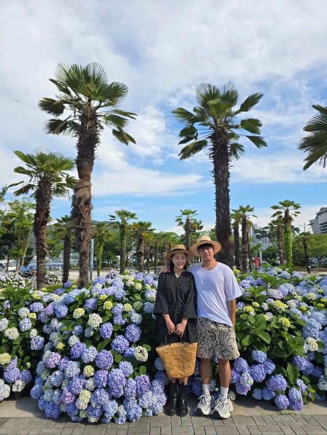 매년 여름 거제도가 더 빛나는 이유💜