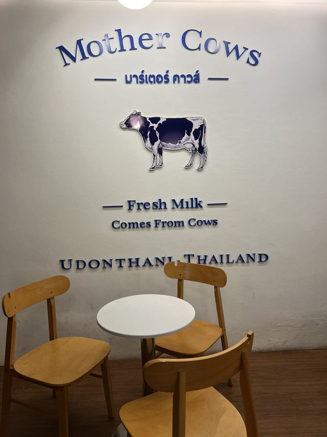 🐄 Mother Cows Udonthani 🐄 🐄 Mother Cows Udonthani 🐄