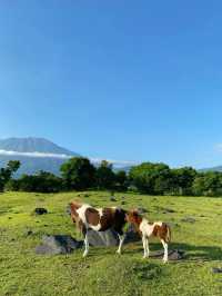 Padang Savana Tianyar in Bali