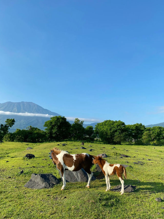 Padang Savana Tianyar in Bali
