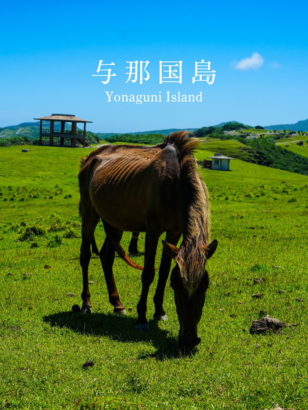 日本最西端 沖縄県与那国島 | Trip.com 与那国町