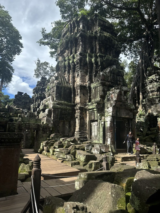 Giant roots and a magical place - Ta Prohm Temple