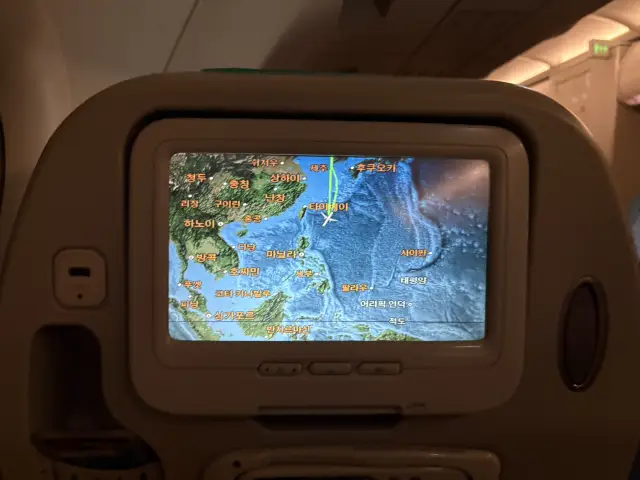 🐢Bohol Travel🐬