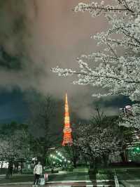 2025.03東京櫻花季行前花費