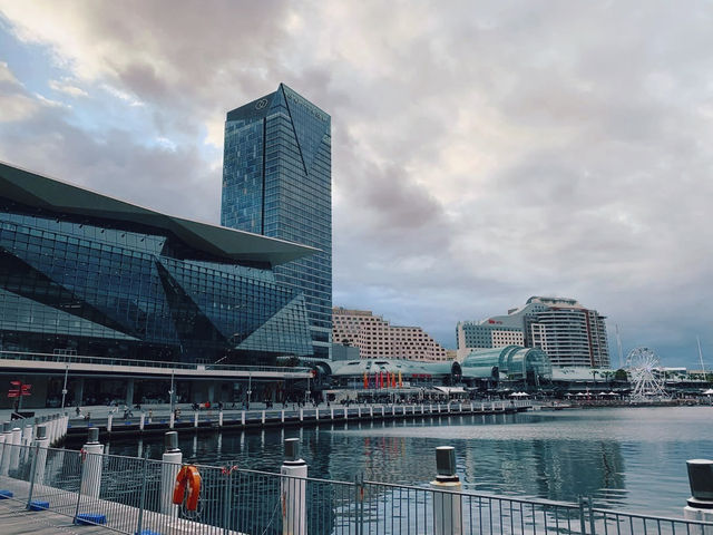 🐋雪梨賞鯨全攻略：與座頭鯨同遊大海的體驗 ✨