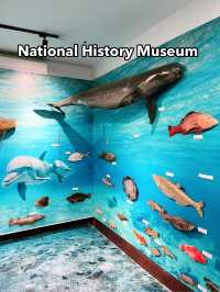 Must-Visit: National History Museum Kuching