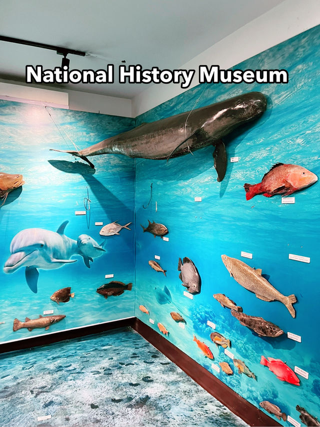 Must-Visit: National History Museum Kuching