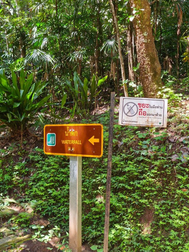 น้ำตกตาดหมอก (แม่ริม เชียงใหม่) 🏞️
