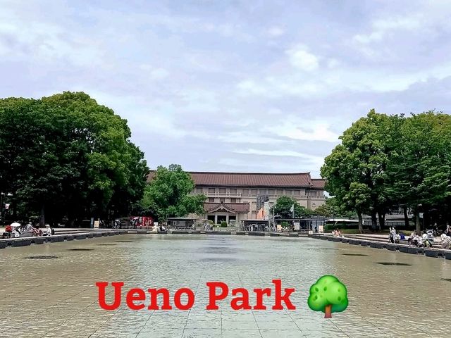 Ueno Park🌳 Ueno Park🌳
