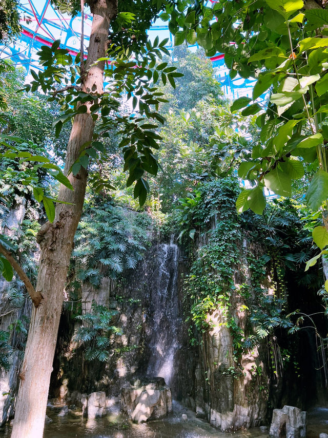 科博館植物園花影下的悠閒時光  