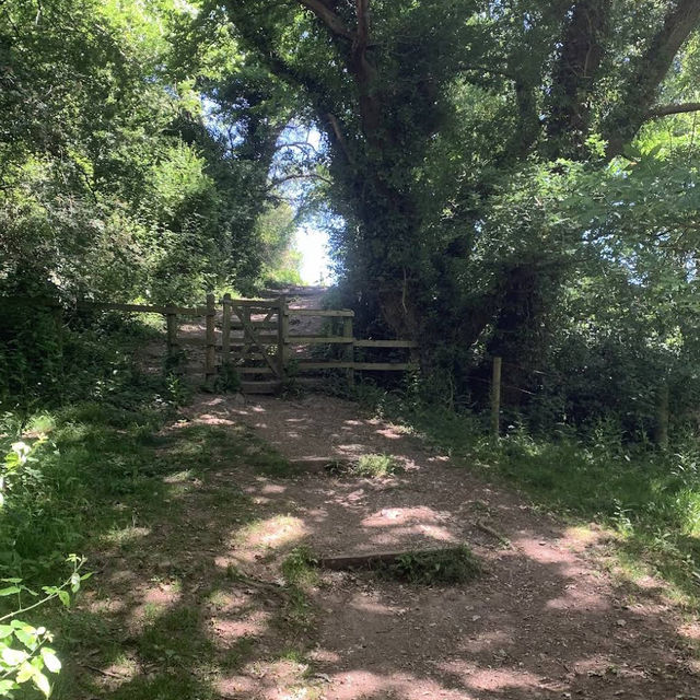 Barley Valley Nature Reserve – Hidden Hills & Meadows Above Exeter