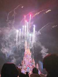 Disney Dreamland✨🏰🎢
