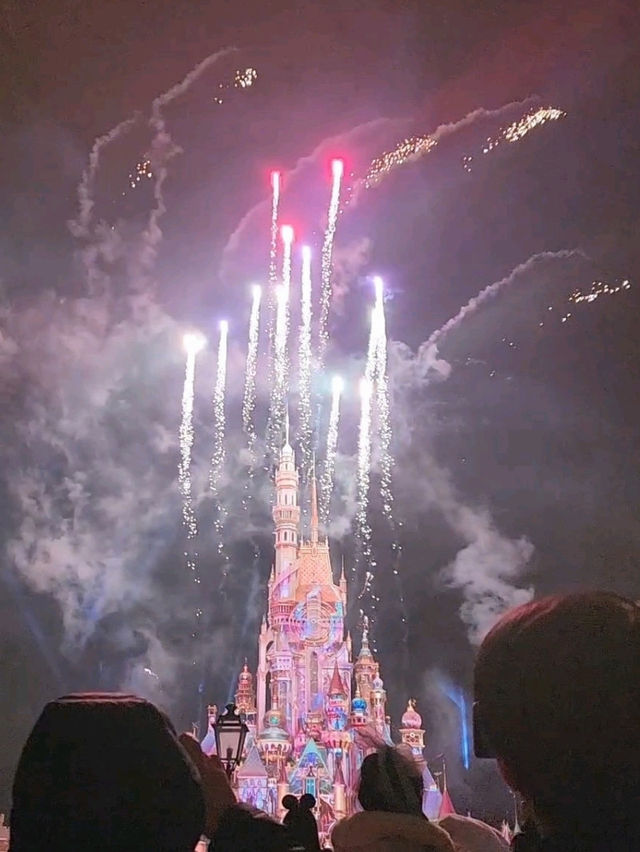Disney Dreamland✨🏰🎢