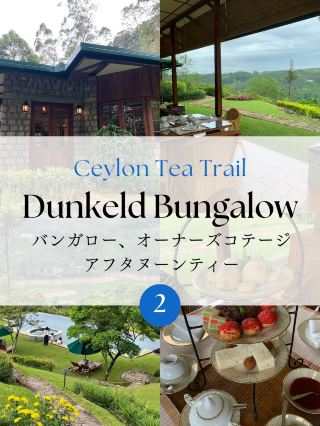 スリランカの高原リゾート🫖贅沢ステイ✨Ceylon Tea Trails・Dunkeld Bungalow