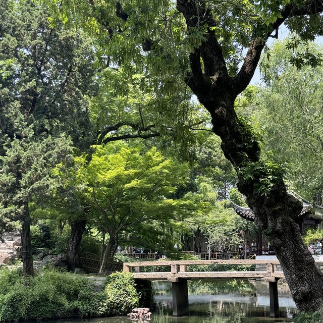 Garden Serenity🏯  