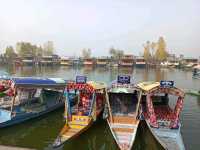แคชเมียร์ ศรีนากา อินเดีย