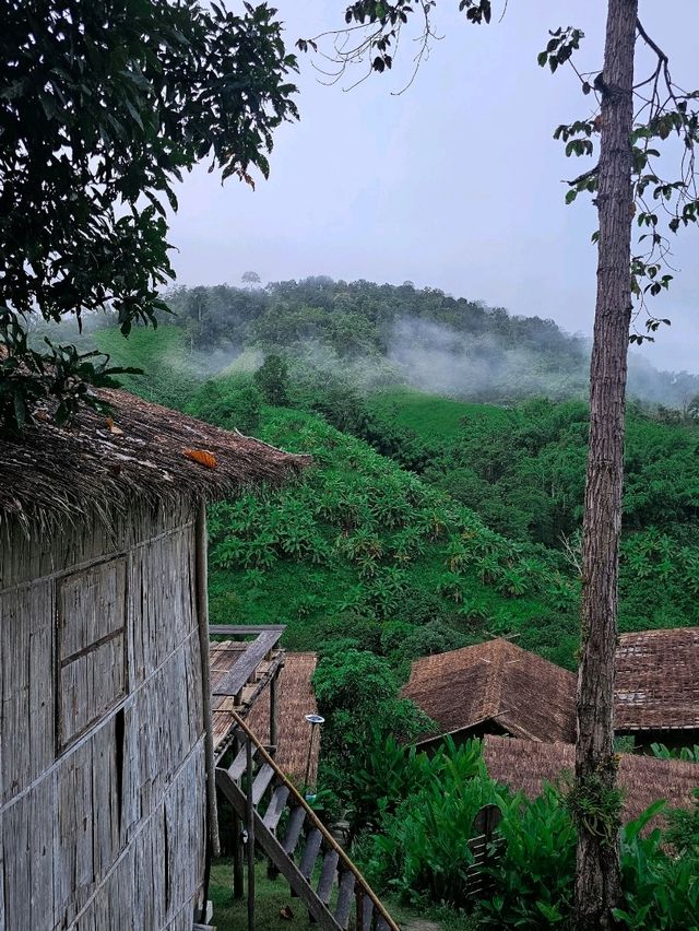 YAZAMA Homestay | แม่แตง