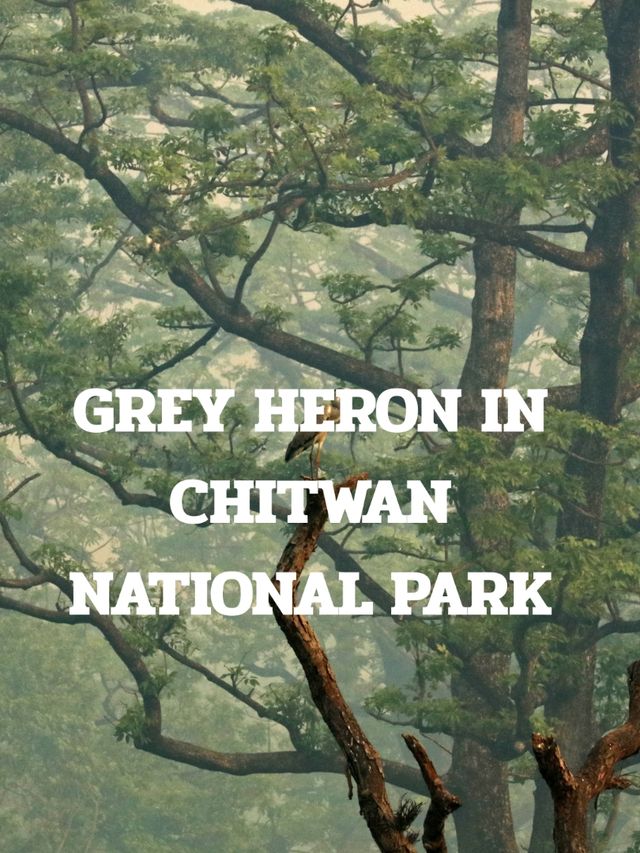 CHITWAN NATIONAL TRIP NEPAL