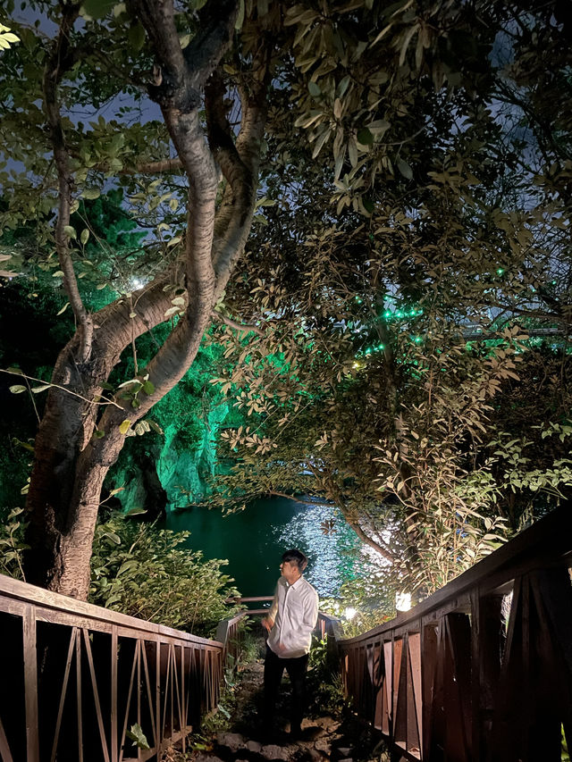 제주의 밤을 물들이는 비밀정원, 용연계곡🍃