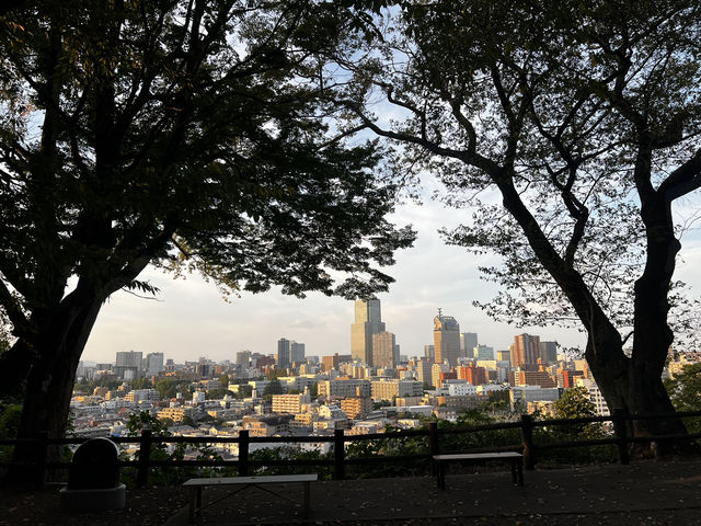 仙台・愛宕神社｜歴史・景観・御利益がひしめくパワースポット