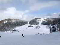日本湯澤❄️ - 一場雪旅和🎄耶誕光景
