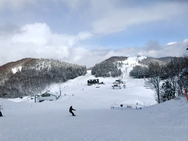 日本湯澤❄️ - 一場雪旅和🎄耶誕光景 日本湯澤❄️ - 一場雪旅和🎄耶誕光景