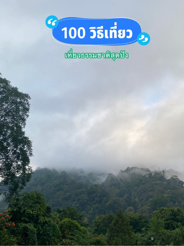 ฮาลา สุดเขตแดนใต้🌳