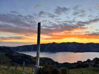 5 Days in Christchurch