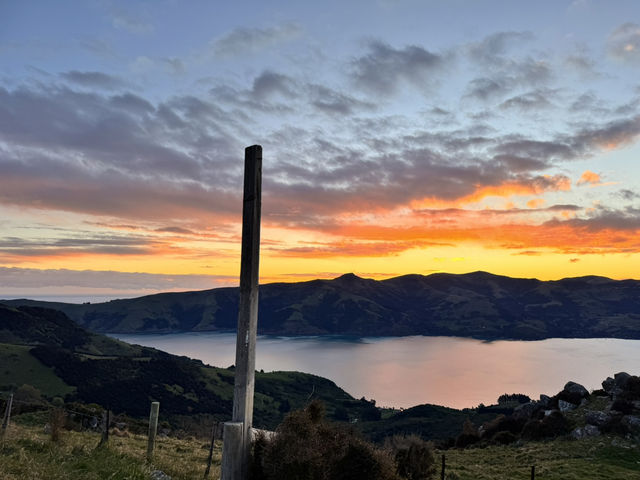 5 Days in Christchurch