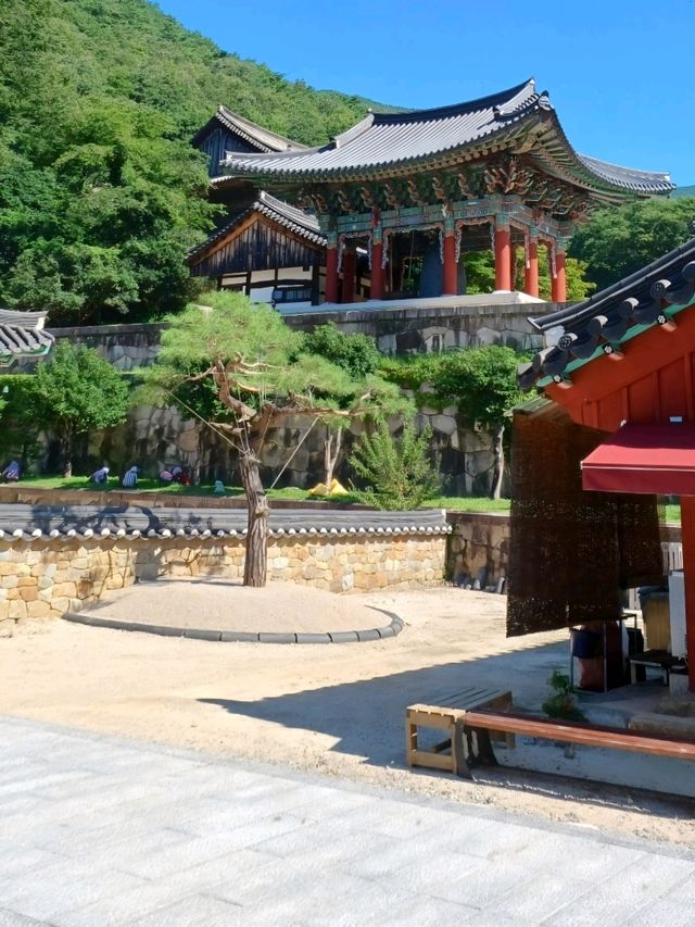 🌸 고요한 산사 속 평화의 공간 🌸 고요한 산사 속 평화의 공간