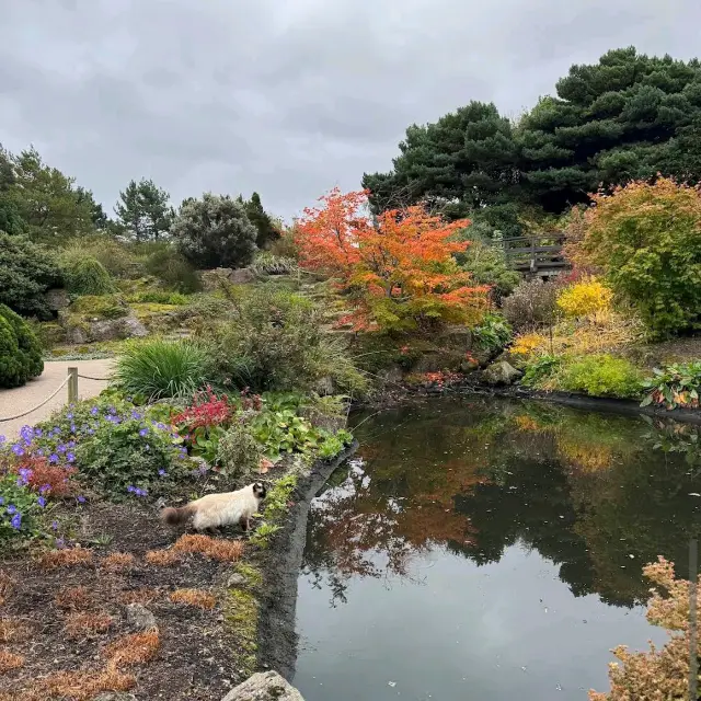 Royal Botanic Garden Edinburgh