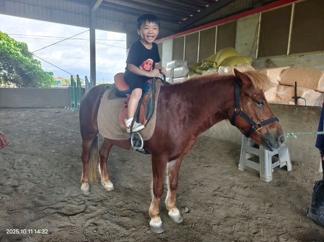 宜蘭三星小眾親子騎馬景點🥳 宜蘭三星小眾親子騎馬景點🥳