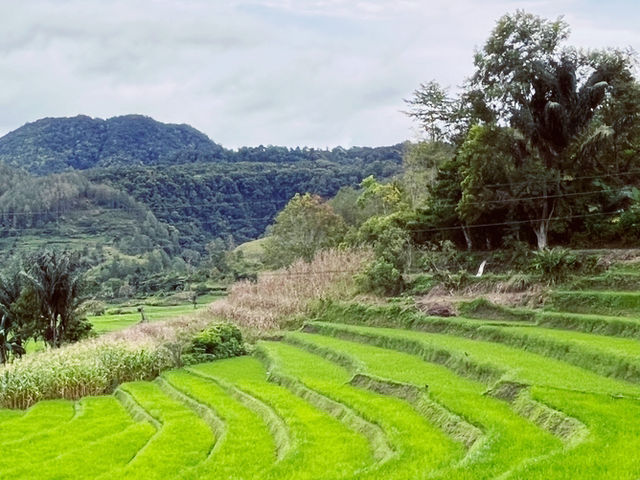 🇮🇩🌿 Medan's Hidden Gem: Sibolangit Terraces - North Sumatra's Green Stairway to Heaven! 🌄  🇮🇩🌿 Medan's Hidden Gem: Sibolangit Terraces - North Sumatra's Green Stairway to Heaven! 🌄