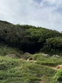 海風、白鳥居、龍貓的足跡：我在糸島尋找治癒系的藍
