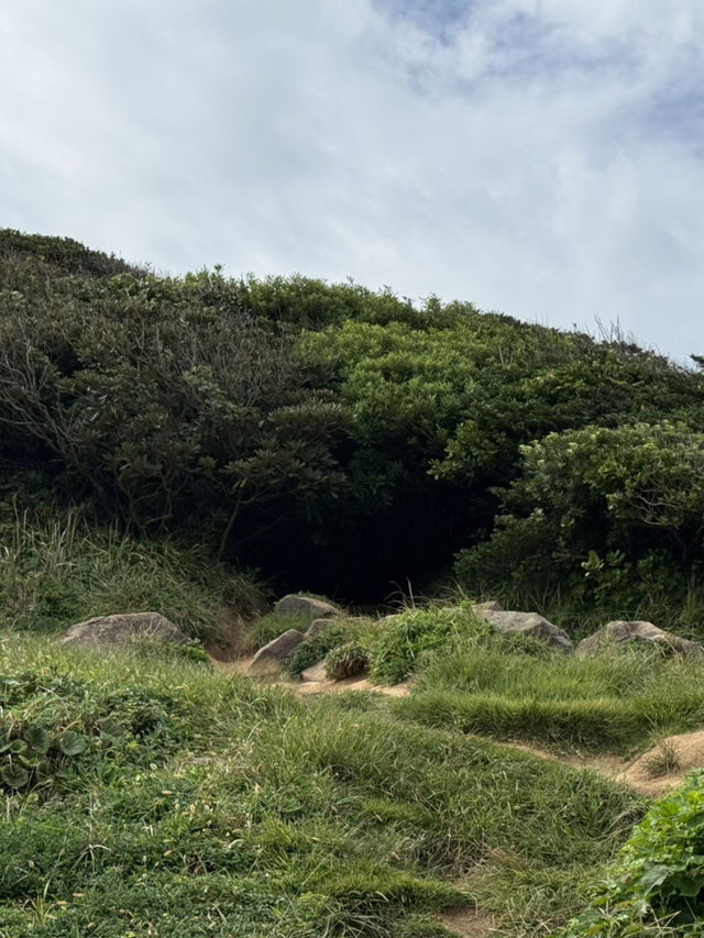 海風、白鳥居、龍貓的足跡：我在糸島尋找治癒系的藍