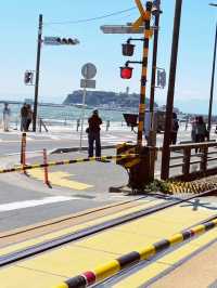 🚋 Kamakura's Scenic Train & Famous Enoden Exits: A Journey Through Time and Sea! 🌊