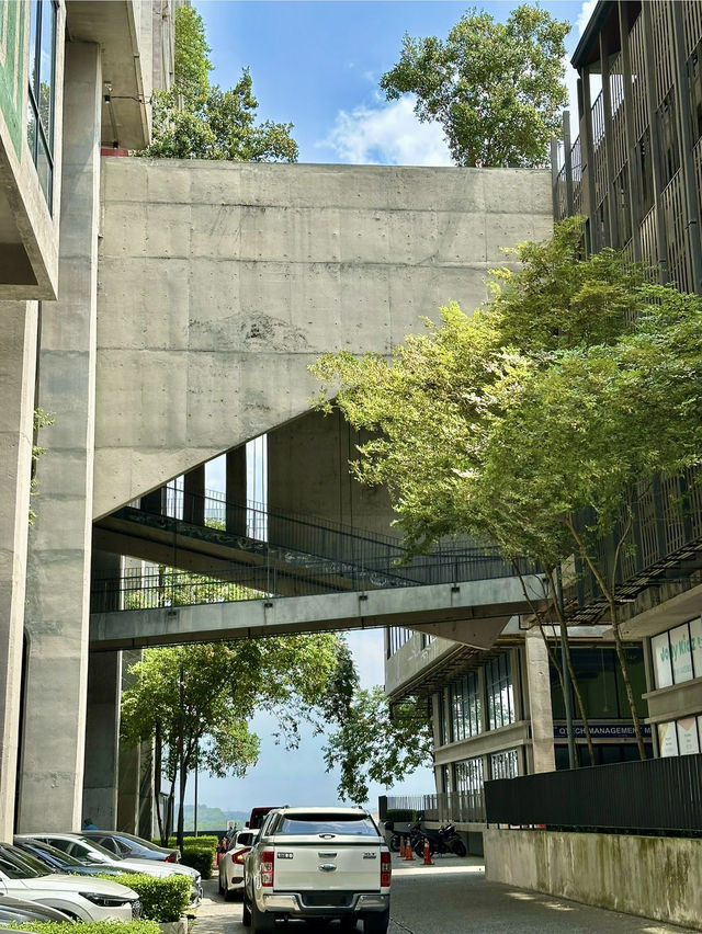 Modern City Vibes🌇 Where Community, Creativity, and Contemporary Living Meet