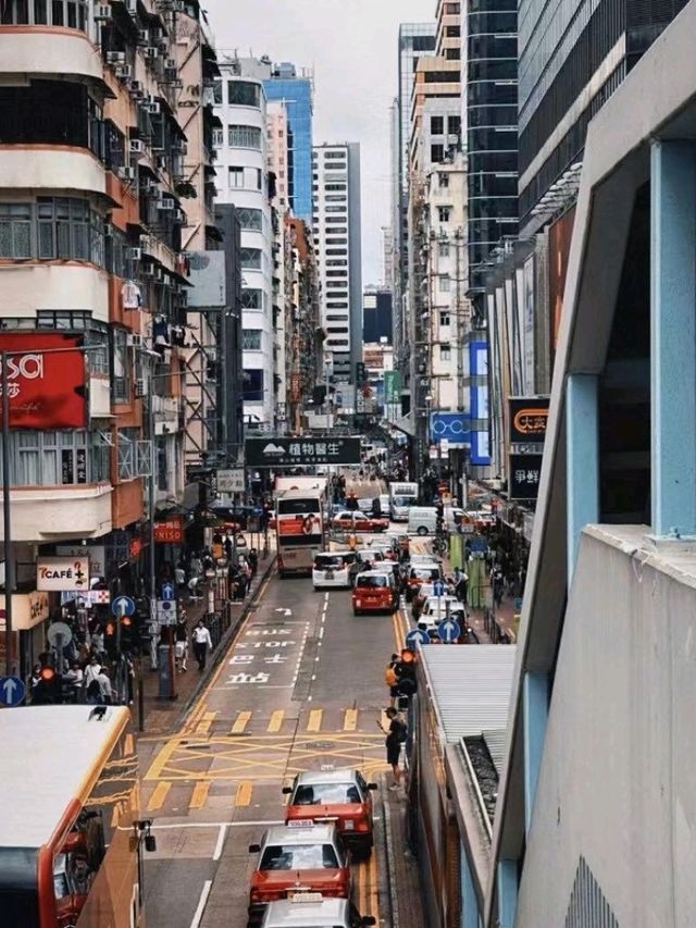 Hong Kong Glow✨