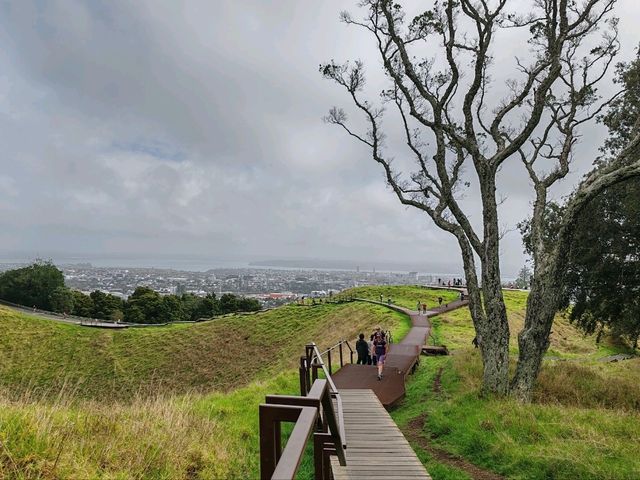 Auckland's Volcanic Summit: A Symphony of City and Sea