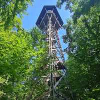 Loorenkopf Tower – Zurich’s Forest Lookout with a City View