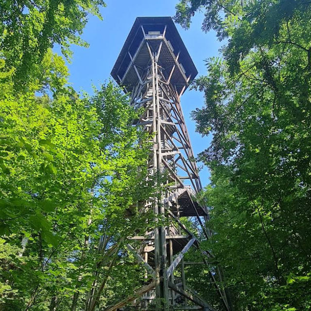 Loorenkopf Tower – Zurich’s Forest Lookout with a City View Loorenkopf Tower – Zurich’s Forest Lookout with a City View