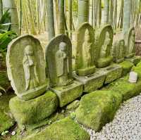 Solo Zen: Finding Peace in Hokokuji's Bamboo Grove