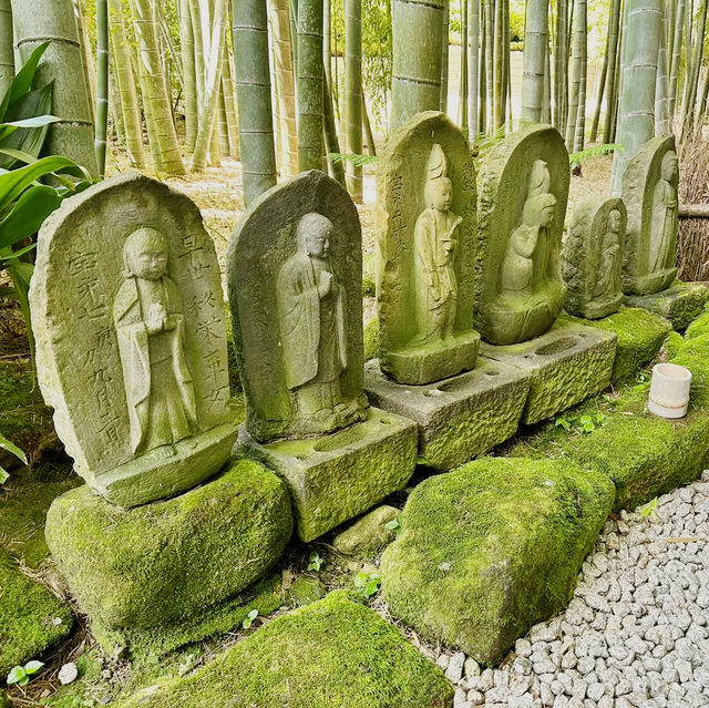 Solo Zen: Finding Peace in Hokokuji's Bamboo Grove
