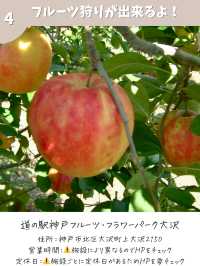 【兵庫】秋に行きたいスポット7選