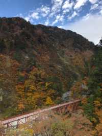 【富山・黒部】絶景の終着駅！黒部渓谷トロッコ列車で行く欅平🚞🌲