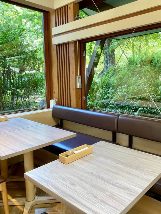 🌿 Lunch with a View at EVERYONESCAFE