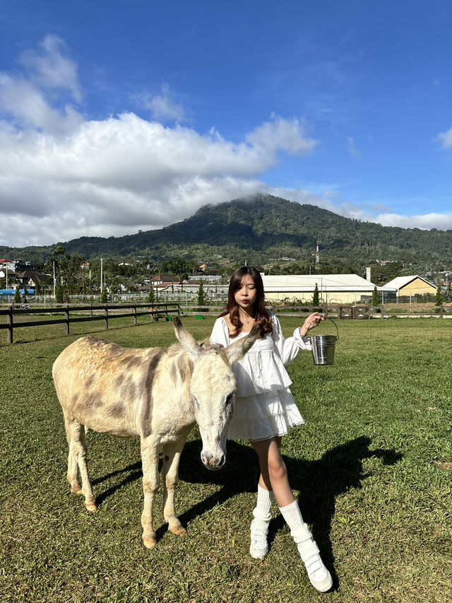 NEGERI DONGENG BALI NEGERI DONGENG BALI